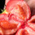 四川普罗旺斯西红柿 沙瓤水果番茄 现摘现发 新鲜蔬菜(大果净重约5斤)第5张高清大图