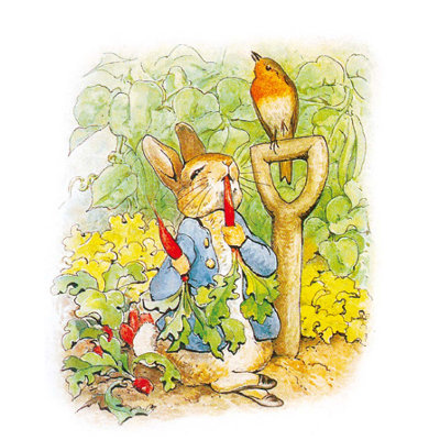 彼得兔经典故事全集注音版 礼盒全彩19本 彼得兔和他的朋友们儿童故事书