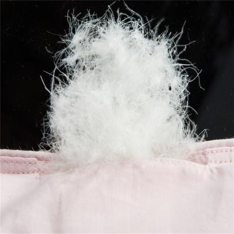 赫维家纺 全棉防羽布立衬加厚双人羽绒被(粉 1.5)