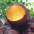 陕西黑布林李子 单果100g左右 新鲜应季水果(3斤)第3张高清大图