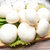 新鲜双孢菇口蘑白蘑菇食用菌煲汤烧烤绿色有机蔬菜蘑菇(4斤 精选装)第4张高清大图