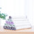 禧天龙 Citylong  洗碗抹布加厚家用洗碗巾吸水百洁布清洁巾(印花4片装)第5张高清大图