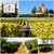 吉卡斯（jecups）斐施特窖藏西拉 澳大利亚原瓶进口干红葡萄酒 750ml(红色 单只装)第3张高清大图