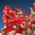 中国龙瓷 纳福貔貅摆件*工艺品开业礼品瓷器摆件德化陶瓷貔貅（金漆线雕）ZXG1083第4张高清大图