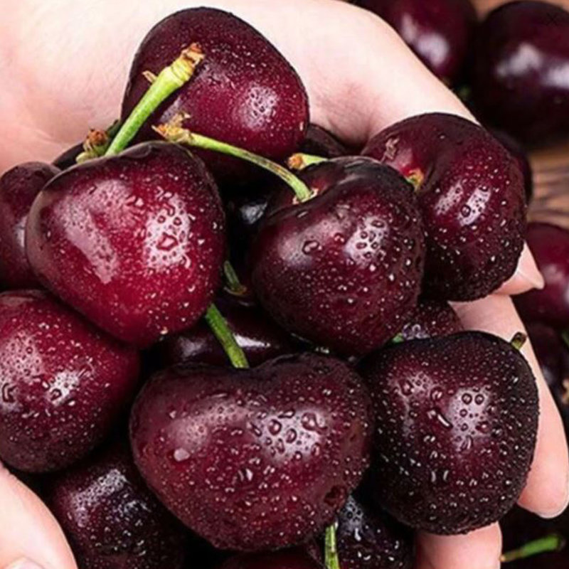 蜜叶巨无霸jjj智利车厘子25kg盒果径约3032mm过节送礼颗颗爆汁脆甜