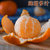 广西武鸣沃柑桔子5斤新鲜水果包邮当季整箱特产大果蜜桔贡柑橘子第4张高清大图