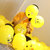 盛世泰堡圣诞节平安夜气球生日装饰50个装送雨丝打气筒 国美超市甄选第3张高清大图