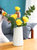 简约欧式小花瓶客厅插花干花装饰摆件办公室水培植物塑料瓶(细长条深蓝色)第4张高清大图