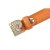 皮尔·卡丹 时尚潮流休闲女士“镶钻” 橙色板扣腰带889FM5-798FW3第5张高清大图