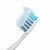佳洁士健康专家防蛀修护牙膏 200g*2支（新老包装随机发货） 清新口气 去牙渍第5张高清大图