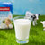 萨尔茨堡全脂纯牛奶200ml*12 国美超市甄选第9张高清大图