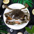 WECOOK台山鲜活青蟹约3两*2 膏蟹 大螃蟹 产地直采 海鲜水产第3张高清大图