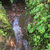 【大自然赠予】雅安高山农家新西兰鸭嘴黄金奇异果30枚 老人孩子新鲜水果猕猴桃  产地包邮第3张高清大图