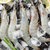 鳗鱼皇后国产白虾 冷冻大虾 单冻海虾 净重500g 25-30只/盒 海鲜水产 核酸已检测第5张高清大图
