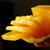 17岁的甜爆汁纽荷尔脐橙3斤 单果60-65mm 酸甜可口汁水充沛第4张高清大图