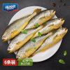 海名威国产鲜冻黄花鱼1650g 6条袋装 生鲜海鲜水产 鱼类
