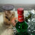 法国葫芦绿薄荷酒(露酒)700ml/瓶第3张高清大图