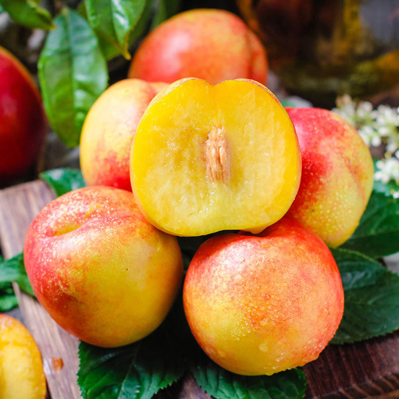 静奶奶山东红油桃5斤装单果70g产地直发产地直发